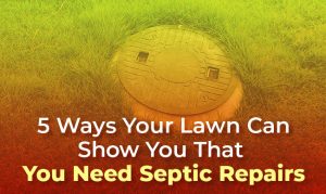 5 Ways Your Lawn Can Show You That You Need Septic Repairs